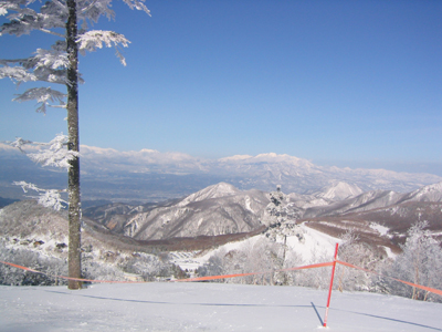 ちょっとだけ新雪